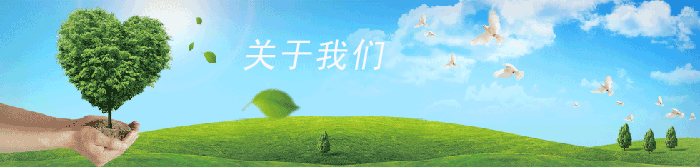 關于我們 技術支持：代代SEO